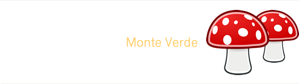 logo kaufmman1